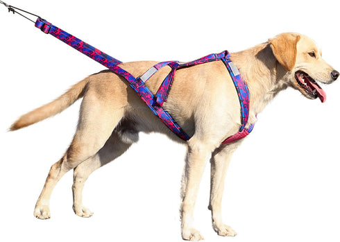 PET ARTIST Speed Training Dog Weight Pulling Harness for Medium and Large Dogs, Pink, XL