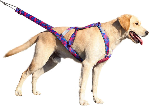 PET ARTIST Speed Training Dog Weight Pulling Harness for Medium and Large Dogs, Pink, XL