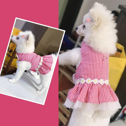 Outdoor Dog Clothing Princess Costumes - Pet Harness Dress for Poodle, Bichon Frise, Pomeranian, Schnauzer (L, Pink)