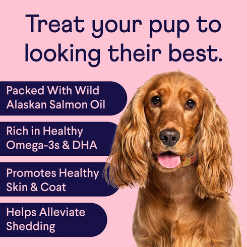Finn Skin & Coat Salmon Oil Supplement for Dogs, 90 Soft Chews with Omega-3s, EPA & DHA, Biotin & Zinc