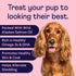 Finn Skin & Coat Salmon Oil Supplement for Dogs, 90 Soft Chews with Omega-3s, EPA & DHA, Biotin & Zinc