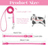 2 Packs Dog Collar and Leash Set, Puppy Collar and Lead Set Quick Release Buckle Adjustable Paw Print Puppy Collar Soft Nylon Pet Collar for Puppy Small Dogs