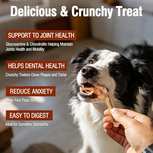 Aovrmuz Dehydrated Chicken Feet Dog Treats Organic Nail-Free High Protein No Addictives Single Ingredient Paws All