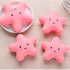 Galepromot 2Pcs Star Plush Pet Dog s Cute Squeaky for Interactive Dog Chew for Pet Dog Puppy Training Playing, Squeak