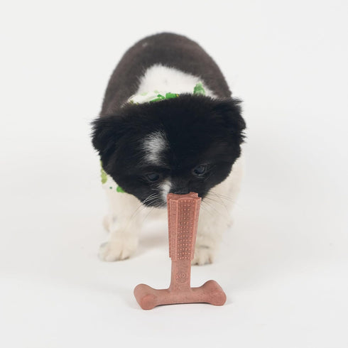 SPOT Bam-Bones Plus T Bone Dog Chew, Bamboo Fiber & Nylon, Durable for Aggressive Chewers, 4in, Beef Flavor