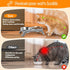 Elevated Cat Bowls - Anti-Vomiting Raised Stand with 2 Thick Stainless Steel Bowls, Grey