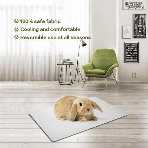 Rabbit Cooling Pad, 11.8x7.9 in Hamster Cooling Mat for Small Pets, Bite Resistant Ice Bed to Stay Cool This Summer