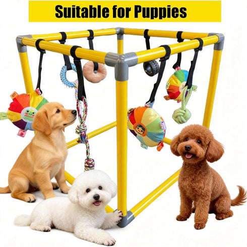 RAOPINGX (L:16.5 16.5 Inch) Puppy Play Gym for Small Breed Dogs, Removable Hanging Toys with Bungee Straps