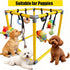 RAOPINGX (L:16.5 16.5 Inch) Puppy Play Gym for Small Breed Dogs, Removable Hanging Toys with Bungee Straps
