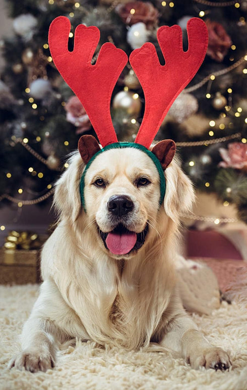 BWOGUE Dog Christmas Elk Reindeer Antlers Headbands Set, Pet Christmas Costume Accessories for Medium Large Dogs