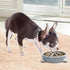 Non-Slip Slow Feeder Dog Bowls - Durable Puzzle Feeder for Small Dogs, 1 Cup, BPA Free, Grey