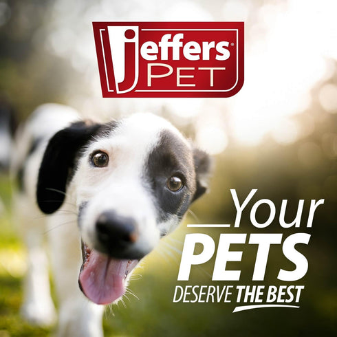 3" Jeffers Plush Penguin Squeaker Dog Toy for Puppies & Small Dogs, Mini Stuffed Animal Pet Toy with Squeaky Sound