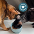 Cat Bowls with Suction Cup 13 Oz - Elevated Silicone Pet Dish with Non-Slip Bottom for Food and Water