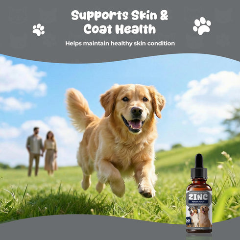 Homibabis Immune 2 oz (60 mL) Zinc Drops for Dogs - Liquid Zinc Supplement for Skin & Coat Health, Support Trace