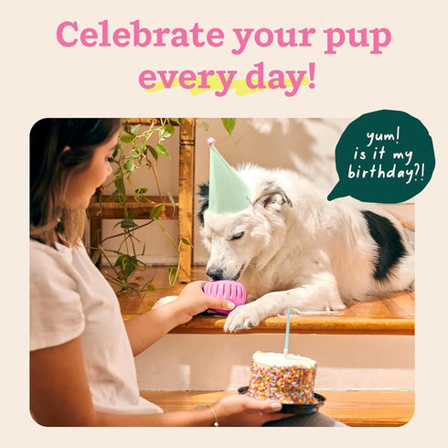 WOOF Party Pupsicle - Long-Lasting Interactive Dog Toys for Boredom - Low-Mess Design - Birthday Gifts for Dogs - Large