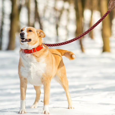 Mile High Life Mountain Climbing Dog Rope Leash, Heavy Duty Metal Clasp, Genuine Leather Connection (Red Black, 72 Inch)
