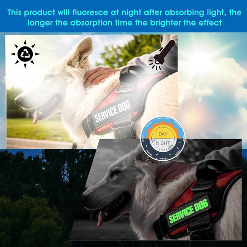 6 Pcs Luminous Service Dog Vest Patches, Removable Embroidered Harness Patches with Hook Reflective Service Dog in Training Do Not Pet Emotional Support Therapy Dog 3.5x1.5inch