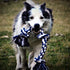 Rope Toys for Large Dogs & Puppies 4-Pack, Natural Cotton Rubber Tug-of-War Toy Set, Tough Dog Toys for Aggressive