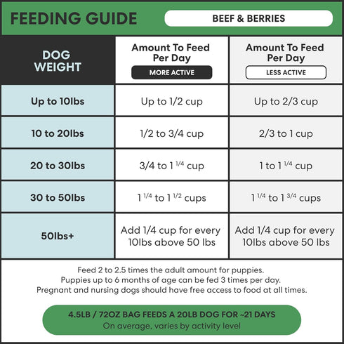 1 lb (16 Oz) The Pets Table Beef & Berries Grain-Free Air Dried Dog Food, Bag