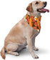 Generic Carrot Egg& Bacon Medley Pet Triangle Bandana for Dogs Cats, Polyester Pet Scarf Fashion Pet Decoration