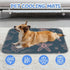 imiBBWQu Summer 27" 22" Dog Cooling Mat Starfish Pink Green Self-Cooling Dog Mat Washable Cooling Pad Cool Bed Puppy