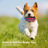 Dog Spiky Toy Ball with Squeaker, Floating Chewing Fetching and Interactive Play (2pc Kit)