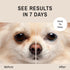 Eye Envy Tear Stain Remover Solution for Dogs, 8 oz, 100% Natural, Safe, Recommended by AKC Breeders