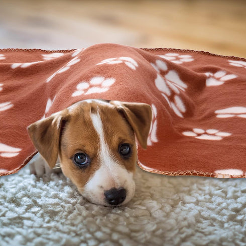 10 Pieces Pet Blankets with Paw Print, Dog Cat Soft Fleece Blankets, Sleep Mat Pad Bed Cover for Kitten Puppy, 24 x 28