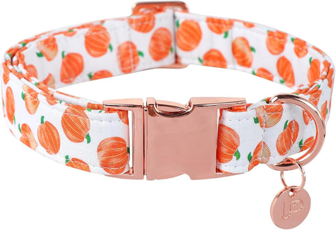 Cute Pumpkin Cotton Halloween Dog Collar with Metal Buckle, Gift for Small Medium Large Boys or Girls Dogs