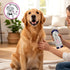 16 oz Jax N Daisy Dont Let Your Dog Itch Lotion, Itch Relief for Dogs, Anti-Itch Skin Soother & Grooming Care