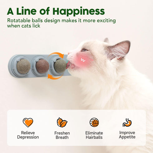 Potaroma 4 Catnip Silvervine Ball Toys for Cats, Edible Chew Balls for Dental Care and Energy