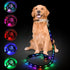 LED Dog Leash with 12 Lighting Modes, 4 Ft Rechargeable Lighted Leash for Night Walking Safety for All Dogs