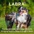 Labra Dog Front Leg Compression Wrap for Hygromas, Lick Granulomas, Pressure Sores, Large/Extra Large