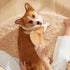 Stainless Steel Pin Dog Brush with Bamboo Handle, Professional Grooming Brush for Long or Short Hair