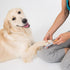 Bretheil Dog Nail File, Pet Nail Filer for Smooth and Shape All Toenail Types, Polish Off Rough Edges, Remove Burs