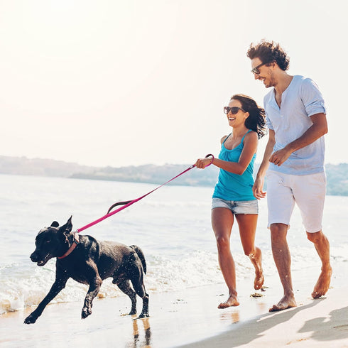 Fida 5 FT Heavy Duty Dog Leash with 2 Padded Handles, Reflective Walking Lead for Large, Medium & Small Dogs, Pink