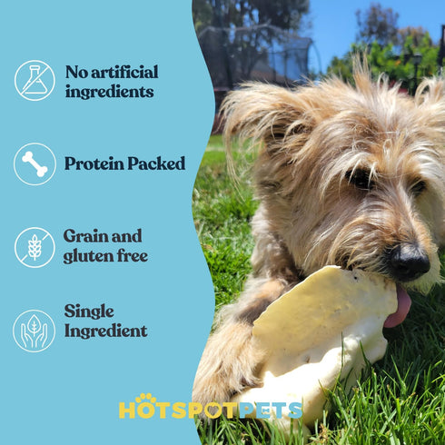 hotspot pets All-Natural Beef Cow Ears Dog Chews - 10 Pack, Long-Lasting, Low Odor Treat for Healthy Teeth