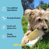 hotspot pets All-Natural Beef Cow Ears Dog Chews - 10 Pack, Long-Lasting, Low Odor Treat for Healthy Teeth