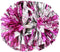 Hooshing 2/6/12PCS Cheerleading Pom Poms with Baton Handle for Team Spirit Sports Dance Cheering