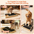 Set, Dog Nail Scratch Pad with Treat Box + Finger Dog Toothbrush & Sandpaper Solid Wood Nail Filing Board for Dogs That
