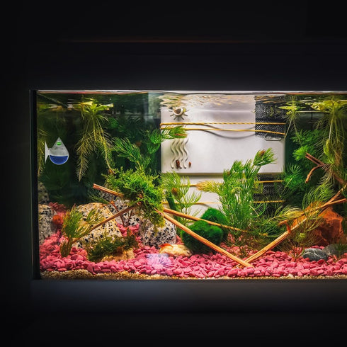 MiOYOOW CO2 Drop Checker, Aquarium CO2 Monitor, CO2 Detector without Solution for Planted Tank, Easy to Observe Results