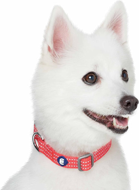 Blueberry Pet Essentials Matching Small Dog Collar - Adjustable Classic Solid Color Nylon Reflective Fiery Red Collar