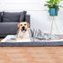 KinHwa Super Absorbent Dog Towel, Microfiber Drying Towel for Small, Medium, Large Dogs and Cats, 30inch x 50inch (1