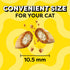 16 oz. Temptations Cat Treats Classic Crunchy and Soft Cat Treats, Tasty Chicken Flavor, Tub