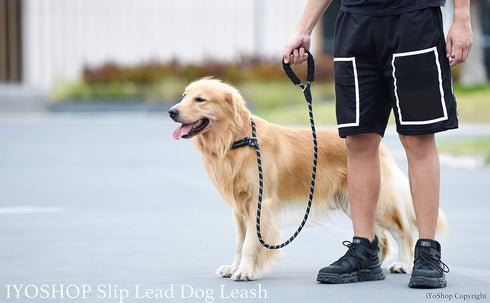 iYoShop 6 FT Durable Slip Lead Dog Leash - Padded Handle, Highly Reflective Threads, Medium/Large, Black