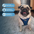 Voyager Step-In Air Dog Harness - No Pull, Reflective, for Small and Medium Dogs, Blue/Black Trim