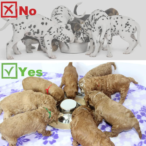 Stainless Steel Puppy Dog Bowls, Feeding Food and Water Dishes for Pets