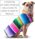 Handmade Dog Poncho for Chihuahua - Cinco De Mayo Costume from Authentic Mexican Blanket (Pink, XXS)