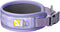 Premium Dog Collar, Super Adjustable for All Breeds, Quick Release Buckle, Extra Soft Padding & Reflective Trim (Large,