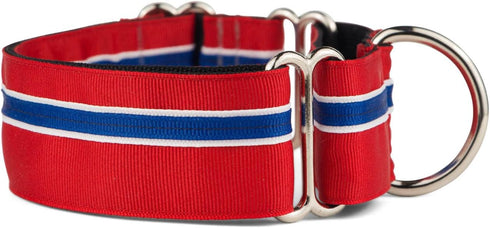 If It Barks - 1.5" Adjustable Martingale Collar for Dogs - Strong Comfy Nylon - Ideal for Training - Made in USA -